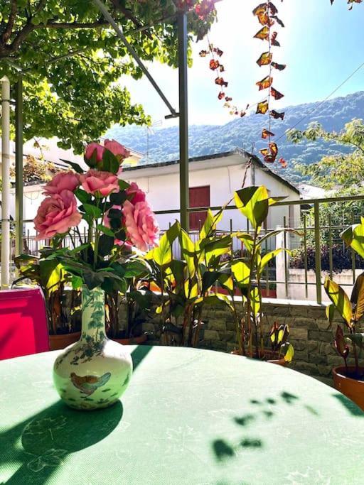 Villa Simotas 4 Four Πόρος Εξωτερικό φωτογραφία